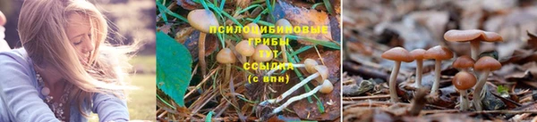 дмт Беломорск