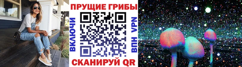 Псилоцибиновые грибы Cubensis  kraken ССЫЛКА  Калининец 